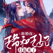 新婚夜，王爷和王妃打起来了--胖梁de小说阅读-佚名