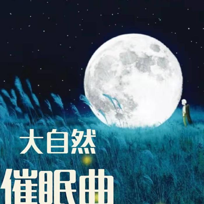 大自然的馈赠|助眠白噪音睡眠音乐--门哥-佚名