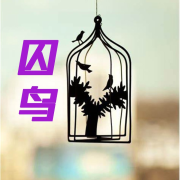 囚鸟--金晶有声-佚名