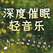 深度催眠睡眠 -帮助睡眠的轻音--艾琳王-佚名