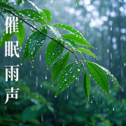 自然声音｜雨声助眠｜白噪音--挽风讲故事-佚名