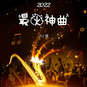 2022最火神曲 DJ版--星辞99-佚名
