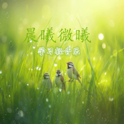 精华学习时听的轻音乐--悦尔music-佚名