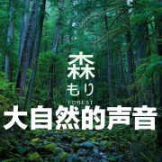 深度睡眠催眠 | 大自然声音助眠-Rain_苏言-Rain_苏言-佚名