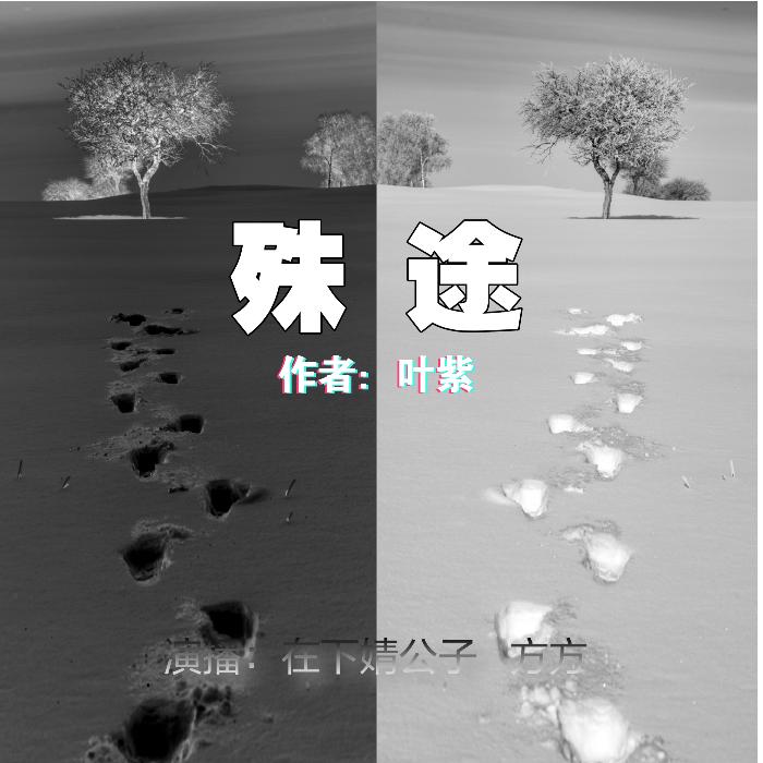 殊途--在下婧公子-佚名