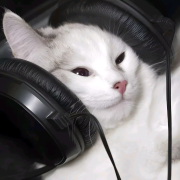 半入江风半入云--Sevenfishman-佚名