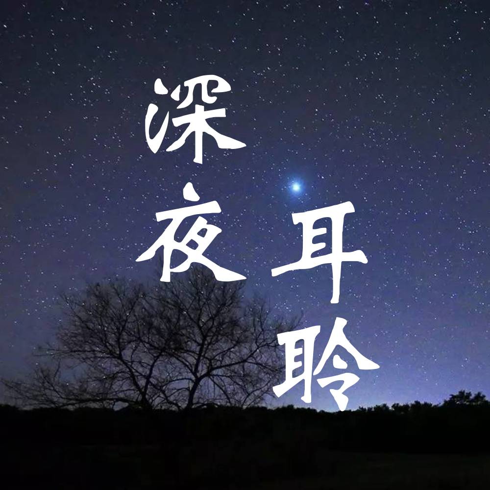 深夜耳聆--沈炎之声-佚名