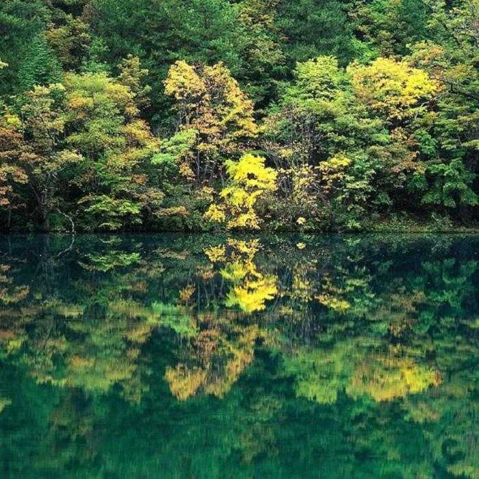 场景搭建：无声的世界--山拾溜-