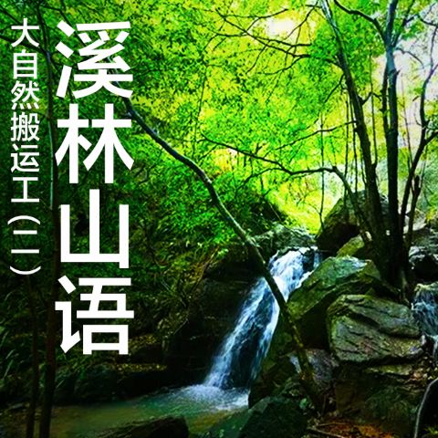 大自然搬运工-溪林山语--柔琴清声-佚名
