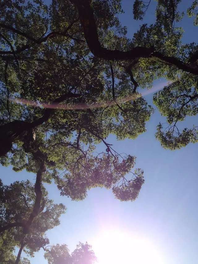 从自恋中华丽转身--佚名-佚名