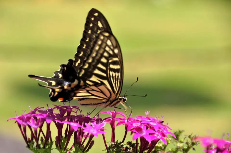 独白--佚名-佚名