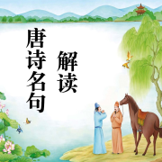 唐诗名句解读--Ting心情-