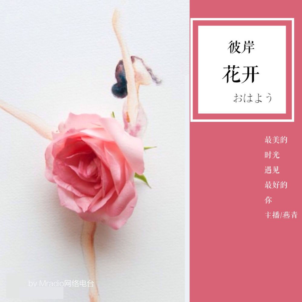 彼岸花开--Mradio网络电波-