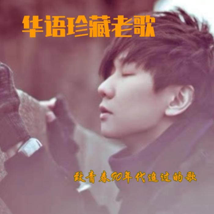 华语珍藏老歌：致青春90年代追过的歌--慕云清阳-佚名