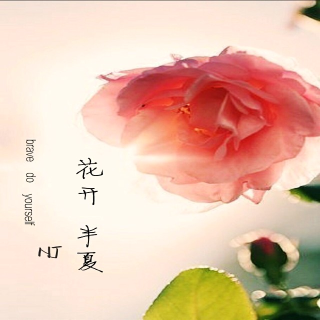 【花开半夏】-栀子电波-NJ半夏-