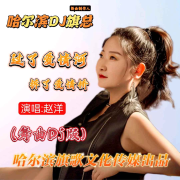 赵洋-过了爱情河拆了爱情桥(哈尔滨DJ旗总舞曲Dj独家版)--哈尔滨DJ旗总音乐工作室-佚名