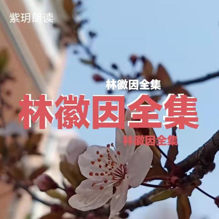 林徽因全集-紫玥-紫玥-