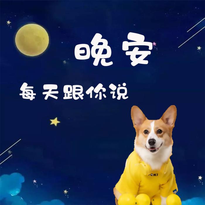 每天跟你说晚安丨夜听--声命体世界-