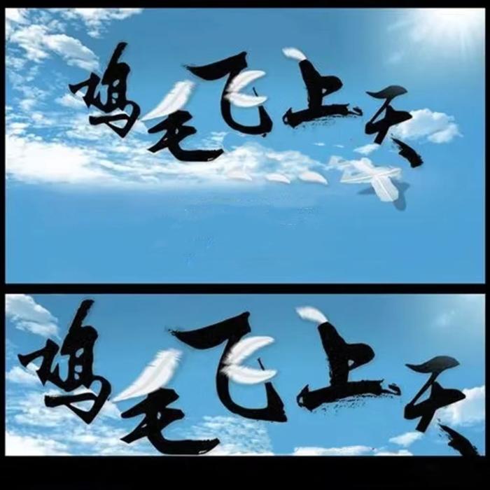 《鸡毛飞上天》电视剧--我不是赘婿-佚名