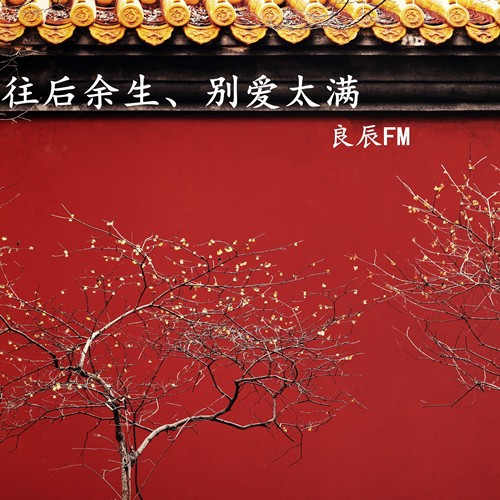 往后余生 别爱太满--良辰-佚名