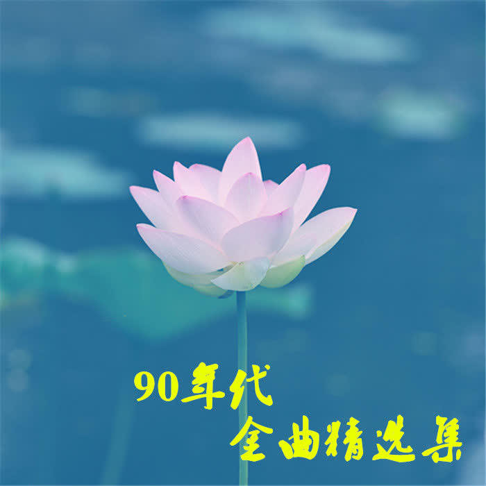 90年代怀旧金曲精选集--有声的木林-佚名