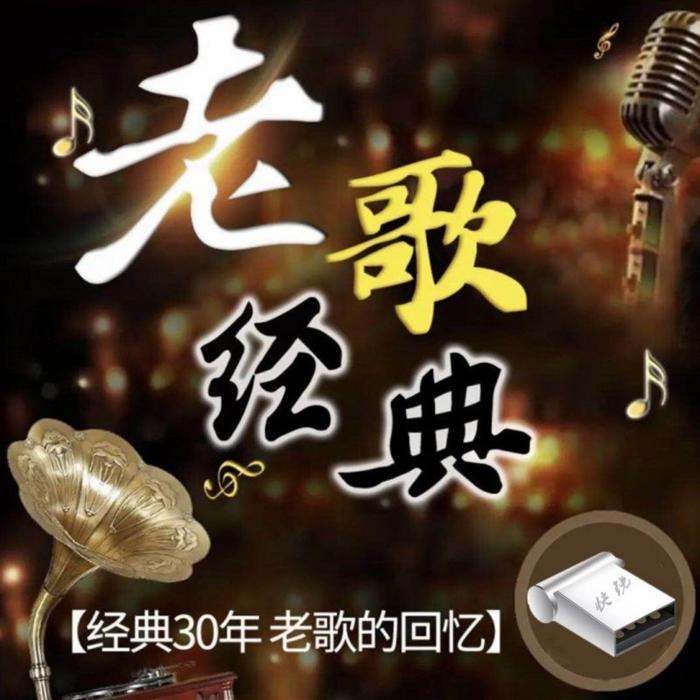 歌声飘过30年|经典怀旧老歌合集--宝一风-佚名
