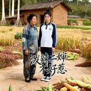 泼辣二婶不好惹-龚熙航-听雨推文