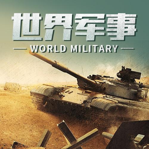 世界军事-佚名-懒人750225577