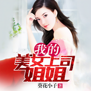 我的美女上司姐姐-佚名-雁栖鸣工作室