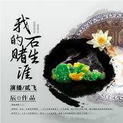 我的赌石生涯-辰-贰飞，贰飞文传