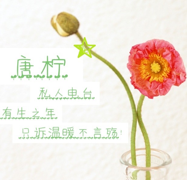 你好，生活--唐柠-