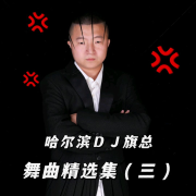哈尔滨DJ旗总舞曲精选集(三)--哈尔滨DJ旗总音乐工作室-佚名
