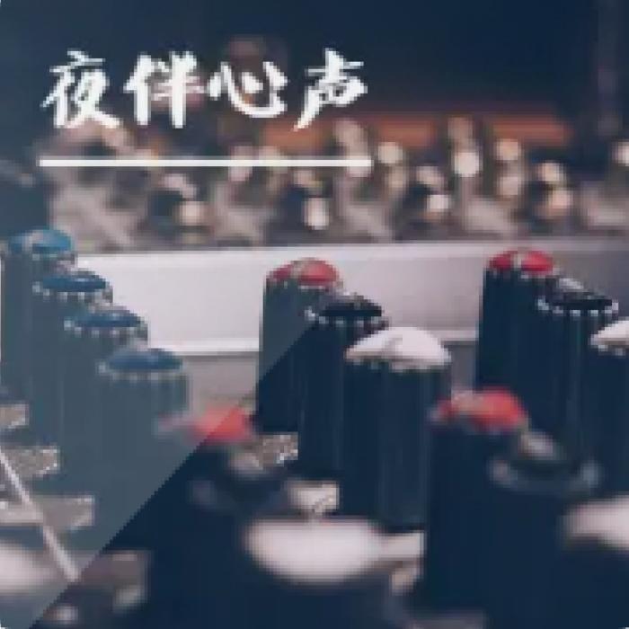 夜伴心声[你身边的心理医生]--有声无名-佚名