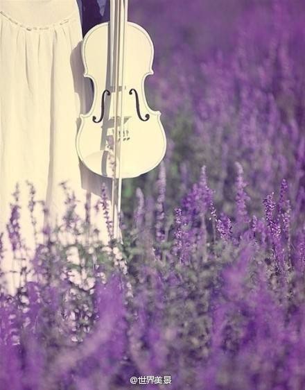 LINLIN的小心事~--小能台-