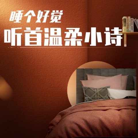 睡个好觉听首温柔小诗-(TME-SAME)-1000238090--DJ阳光-佚名