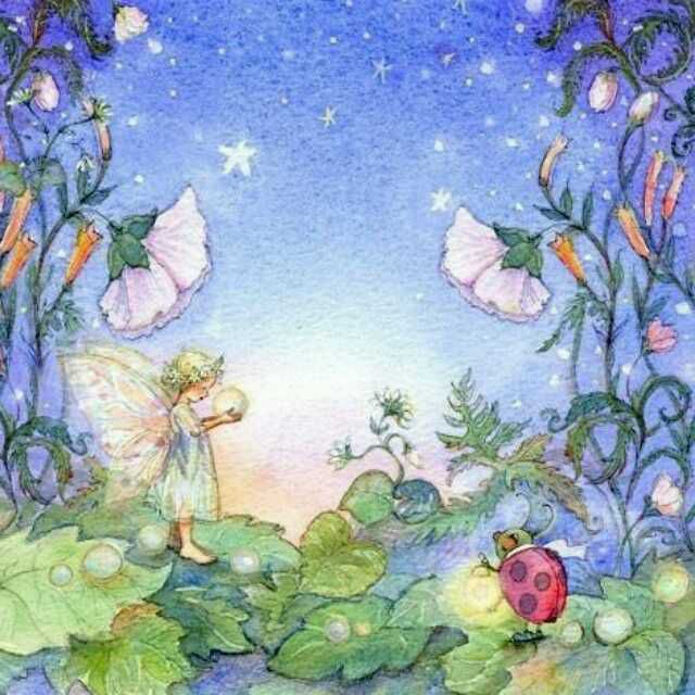 我和学员们讲故事--月季花茶-