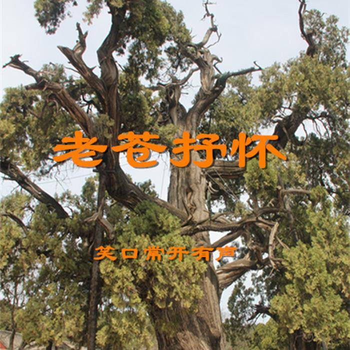 老苍抒怀--笑口常开有声-佚名