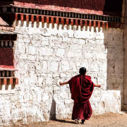 从小喇嘛到高僧的成长之路--颗粒渣儿-