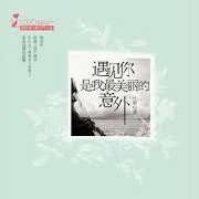 遇见你是我最美丽的意外--崔冬电台-佚名