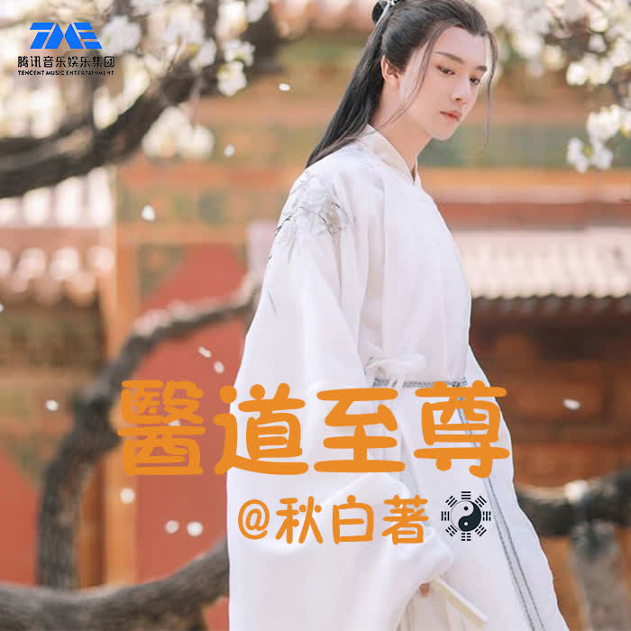 医道至尊--辰音坊-佚名