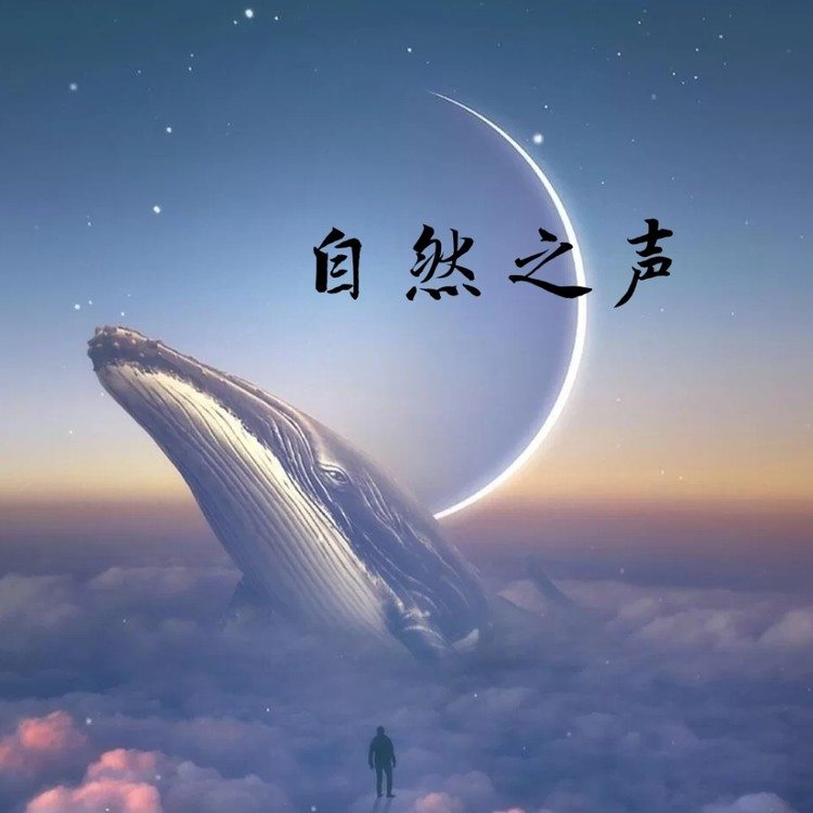 自然之声--暖暖-佚名