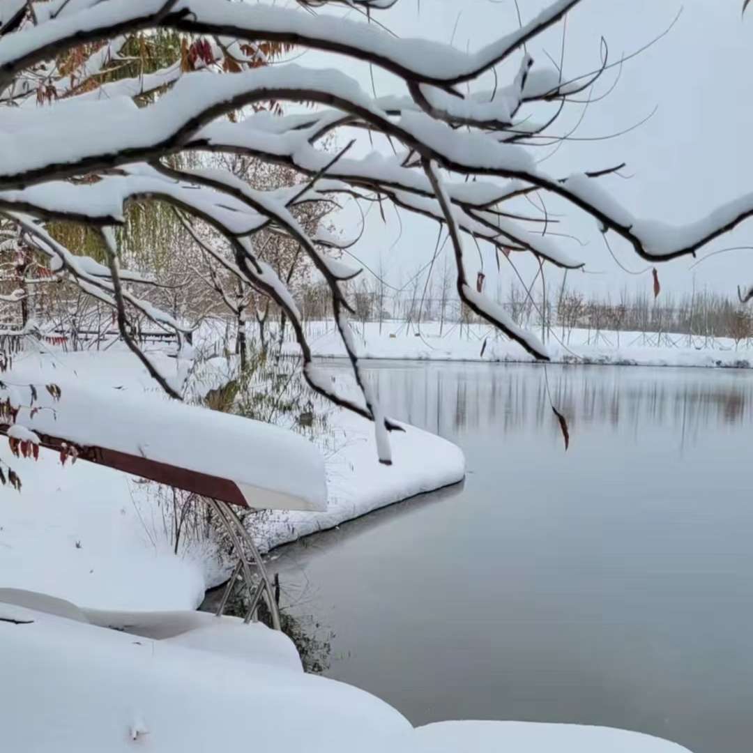 呼兰河传--萧景元-佚名