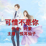 可惜不是你  叶紫--悦耳仙子-佚名