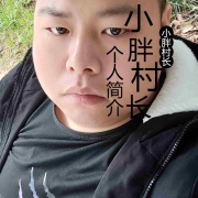 个人简介-小胖村长-小胖村长-佚名