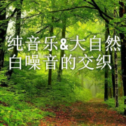 纯音乐与大自然白噪音的交织 | 助眠 | 解压 | 放松--梨穗-佚名