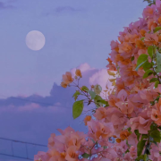 睡前故事--阿荞-佚名