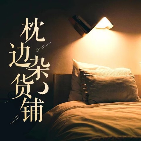 枕边杂货铺-(TME-SAME)-1000313486--陈大默-佚名