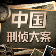 中国刑侦大案纪实：解读大案细节|洞悉罪案背后的人性-佚名-听鉴文化