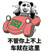 拜托了老司机--腹有诗书气自华-