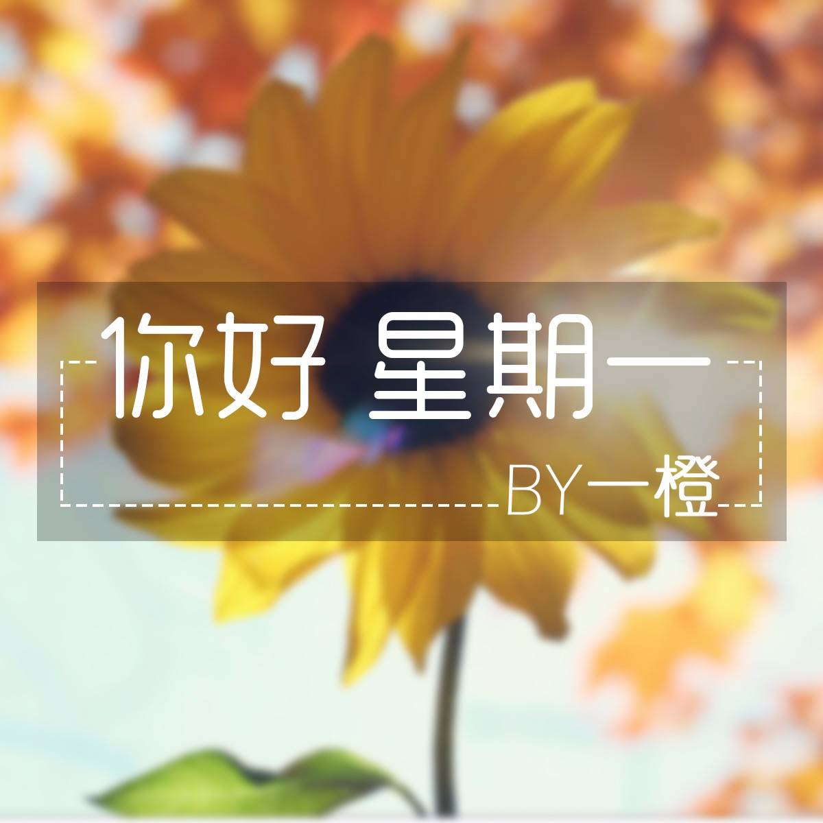 【你好星期一】--NJ一橙-佚名